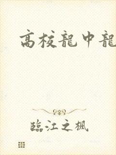 高校龙中龙