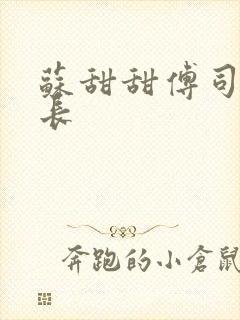 苏甜甜傅司衍机长