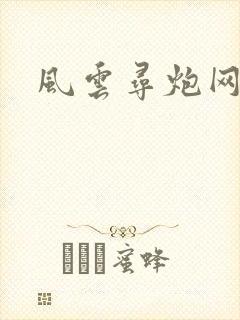 风云寻炮网