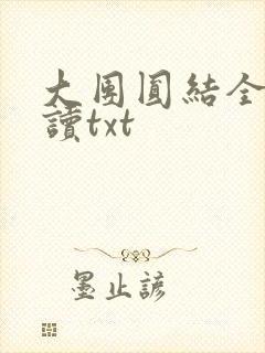 大团圆结全文阅读txt