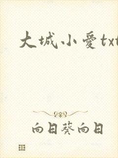 大城小爱txt