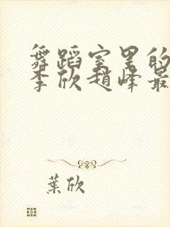 舞蹈室里的景色李欣赵峰最新章节