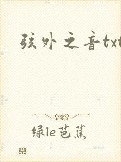 弦外之音txt