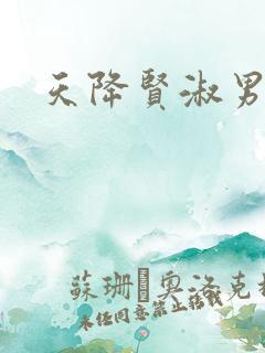 天降贤淑男小说