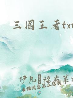 三国王者txt