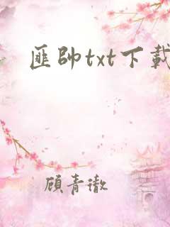 匪帅txt下载