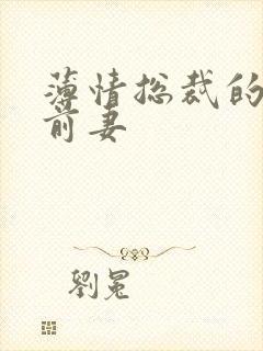 薄情总裁的失声前妻