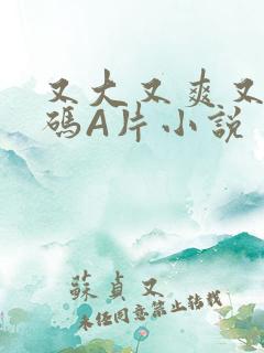 又大又爽又黄无码A片小说