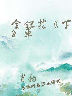 金银花《下厨房》车