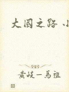 大国之路 小说