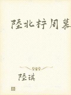 陆北柠周慕深