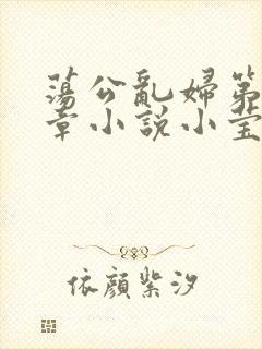 荡公乱妇第51章小说小莹