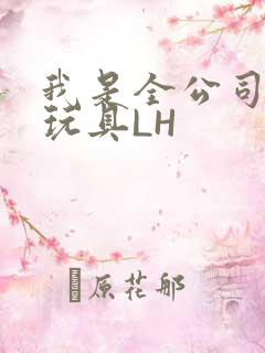 我是全公司发泄玩具LH
