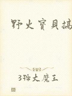 野火宝贝搞定你