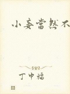 小妾当然不如妻