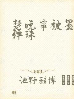 楚晚宁被墨燃塞弹珠