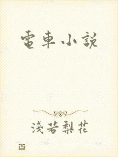 电车小说