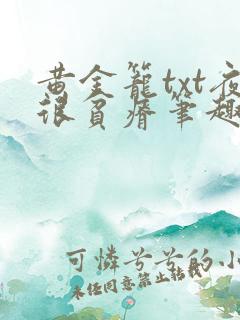 黄金笼txt夜很贫瘠笔趣阁