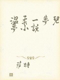 温柔一梦儿媳林梦小说