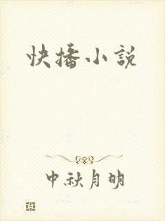 快播小说