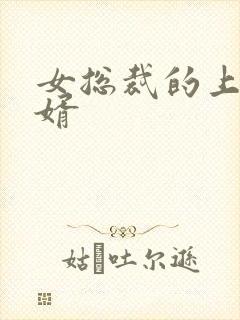 女总裁的上门女婿