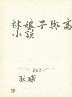 林娘子与高衙内小说
