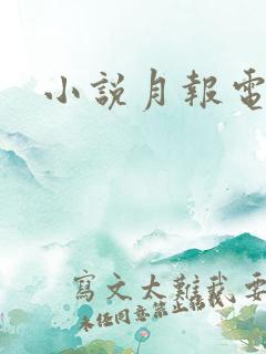 小说月报电子版