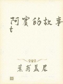 阿宾的故事txt