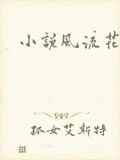小说风流花少
