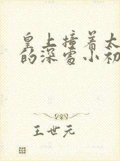 皇上撞着太子妃的深处小初