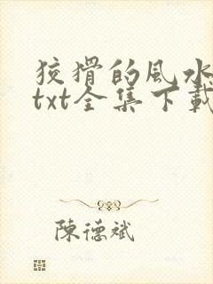 狡猾的风水相师txt全集下载