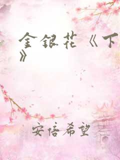 金银花《下厨房》