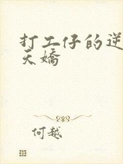 打工仔的逆袭楚天娇