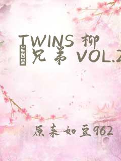 TWINS 柳澤兄弟 VOL.2
