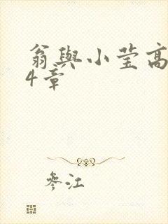 翁与小莹高潮24章