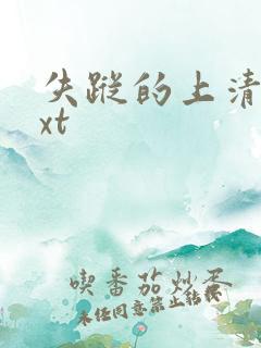 失踪的上清寺txt