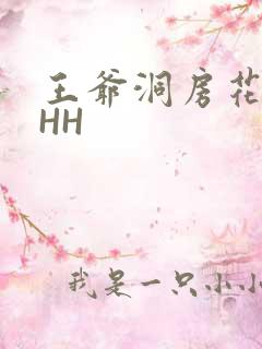 王爷洞房花烛夜HH