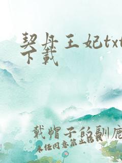 契丹王妃txt下载