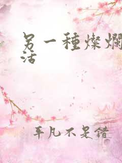 另一种灿烂的生活