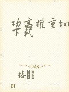 功高权重txt下载