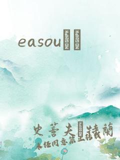 easouС˵