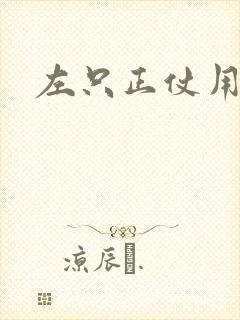 左只正仗用