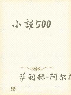 小说500