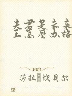 夫君是未来大魔王怎么办格格党