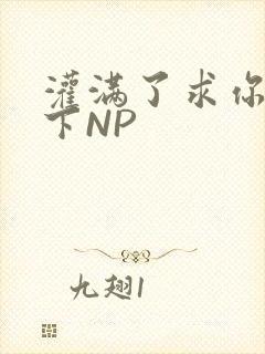灌满了求你们停下NP