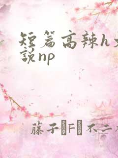 短篇高辣h文小说np