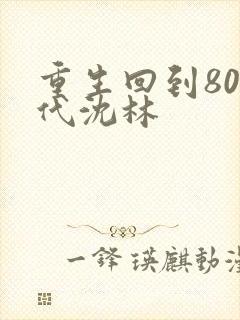 重生回到80年代沈林