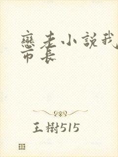 恋老小说我和老市长