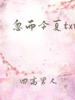 忽而今夏txt