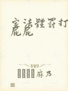 家法体罚打丫鬟屁屁